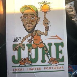 Lakai Larry June shoes